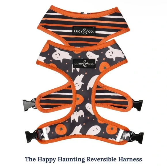 Harness and Leash Set: The Happy Haunting Large Lucy & Co. - Picture 2 of 5